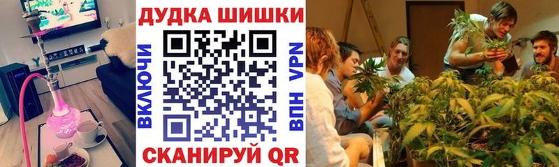 Бошки Шишки марихуана  Купить где  Снежногорск 